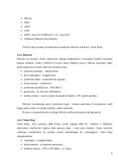 Kompiuterinių tinklų kūrimas ir pritaikymas vartotojui 7 puslapis