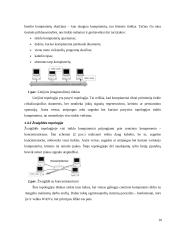 Kompiuterinių tinklų kūrimas ir pritaikymas vartotojui 9 puslapis