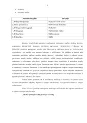 Įmonės rinkodaros veiklos, strategijos ataskaita: UAB "Vesida" 3 puslapis