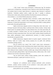 Įmonės rinkodaros veiklos, strategijos ataskaita: UAB "Vesida" 4 puslapis