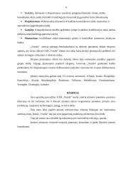 Įmonės rinkodaros veiklos, strategijos ataskaita: UAB "Vesida" 5 puslapis