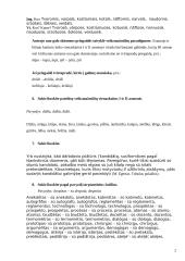 Kirčiavimo pratybos 2 puslapis