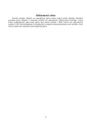 Kompleksinis projektas — miestų gatvės 4 puslapis