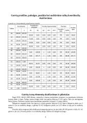 Kompleksinis projektas — miestų gatvės 6 puslapis