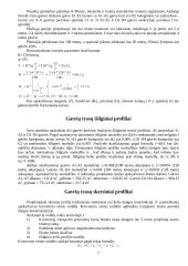 Kompleksinis projektas — miestų gatvės 7 puslapis