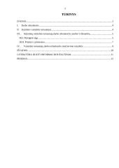 Statutinių valstybės tarnautojų darbo užmokesčio analizė ir dinamika 2002-2009 metais 2 puslapis