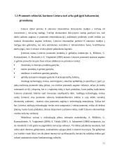 Konkurencija Lietuvos pramonėje 11 puslapis