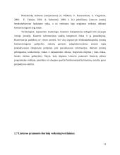 Konkurencija Lietuvos pramonėje 13 puslapis