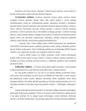 Konkurencija Lietuvos pramonėje 14 puslapis