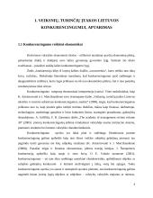 Konkurencija Lietuvos pramonėje 4 puslapis