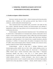Konkurencija Lietuvos pramonėje 4 puslapis