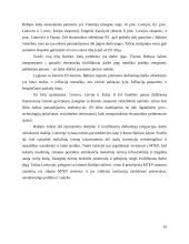 Konkurencija Lietuvos pramonėje 10 puslapis