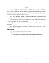 Svetainės interjero projektas: kambariniai augalai