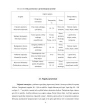 Svetainės interjero projektas: kambariniai augalai 4 puslapis