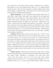 Svetainės interjero projektas: kambariniai augalai 5 puslapis