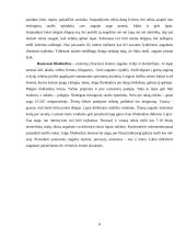 Svetainės interjero projektas: kambariniai augalai 6 puslapis