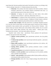 Konkurencinio pranašumo ir informacinių technologijų ryšys 13 puslapis