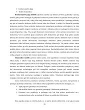 Konkurencinio pranašumo ir informacinių technologijų ryšys 20 puslapis