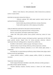Kontrolės analizė: UAB "SBA baldai" 18 puslapis
