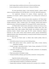 Kontrolės analizė: UAB "SBA baldai" 19 puslapis