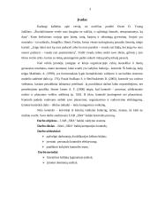 Kontrolės analizė: UAB "SBA baldai" 3 puslapis