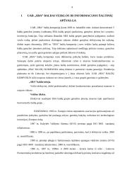 Kontrolės analizė: UAB "SBA baldai" 4 puslapis