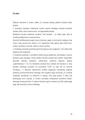 Kontrolės procesas ir jos rūšys 20 puslapis