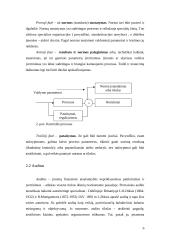Kontrolės procesas ir jos rūšys 6 puslapis