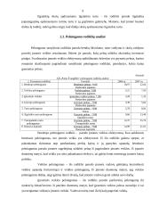 Finansinės veiklos įvertinimas: AB "Pieno Žvaigždės" 9 puslapis