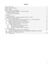 Gamybinės praktikos ataskaita: autoservisas UAB "Naujieji ženklai" 2 puslapis