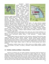 Gamybinės praktikos ataskaita: autoservisas UAB "Naujieji ženklai" 12 puslapis