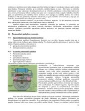 Gamybinės praktikos ataskaita: autoservisas UAB "Naujieji ženklai" 14 puslapis