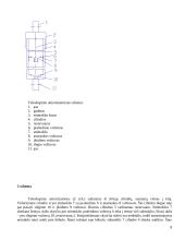 Gamybinės praktikos ataskaita: autoservisas UAB "Naujieji ženklai" 8 puslapis