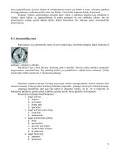 Gamybinės praktikos ataskaita: autoservisas UAB "Naujieji ženklai" 9 puslapis