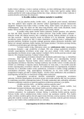 Kredito rizikos valdymas 13 puslapis