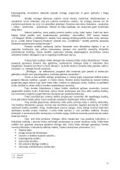 Kredito rizikos valdymas 16 puslapis