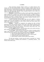 Kredito rizikos valdymas 4 puslapis