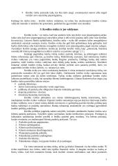 Kredito rizikos valdymas 9 puslapis