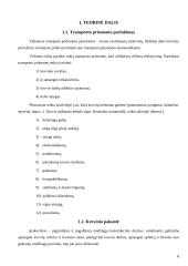 Krovinio vežimas: maršrutas Marijampolė - Berlynas 4 puslapis