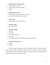 Gamybinės praktikos ataskaita: lauko inžinerinių tinklų statyba, katilinių rekonstrukcija ir statyba UAB "Tikresta" 11 puslapis