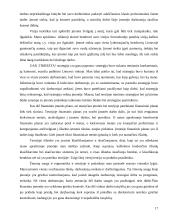 Gamybinės praktikos ataskaita: lauko inžinerinių tinklų statyba, katilinių rekonstrukcija ir statyba UAB "Tikresta" 17 puslapis