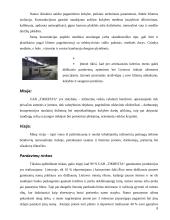 Gamybinės praktikos ataskaita: lauko inžinerinių tinklų statyba, katilinių rekonstrukcija ir statyba UAB "Tikresta" 8 puslapis