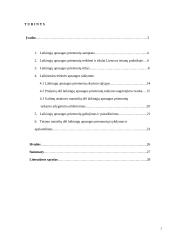 Laikinosios apsaugos priemonės Lietuvos teismų praktikoje 2 puslapis