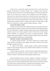 Laikinosios apsaugos priemonės Lietuvos teismų praktikoje 3 puslapis