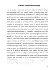 Laikinosios apsaugos priemonės Lietuvos teismų praktikoje 4 puslapis