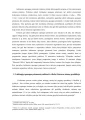 Laikinosios apsaugos priemonės Lietuvos teismų praktikoje 6 puslapis