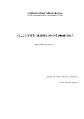 Ikidiplominė praktika: laivų remonto įmonė AB "Laivytė"