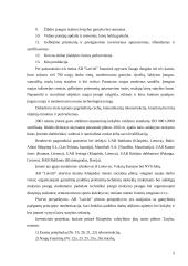 Ikidiplominė praktika: laivų remonto įmonė AB "Laivytė" 6 puslapis