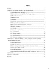 Laisvalaikio tyrimas mieste ir kaime 2 puslapis