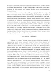 Laisvalaikio tyrimas mieste ir kaime 11 puslapis